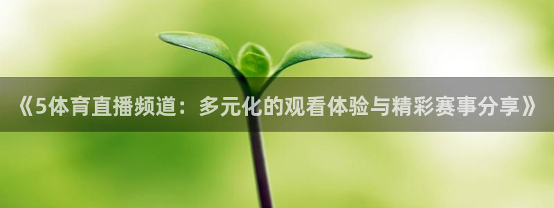 新球体育完整版