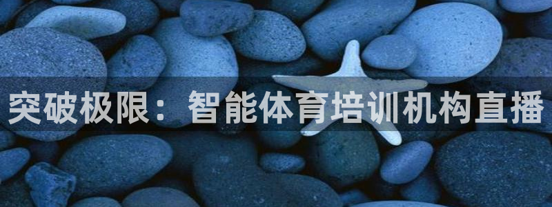 新球直播：突破极限：智能体育培训机构直播