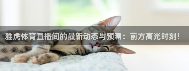 新球体育网球比分：雅虎体育直播间的最新动态与预测：前方高光时刻！