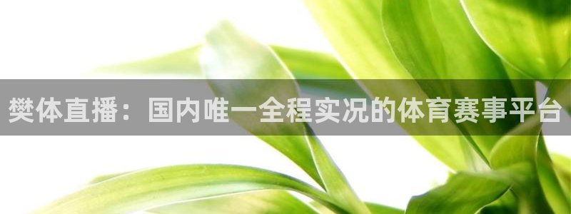 新球体育篮球比分