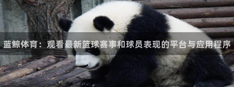 新球体育即时分：蓝鲸体育：观看最新篮球赛事和球员表现的平台与应用程序