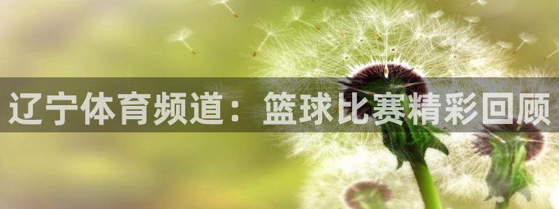 新球体育直播：辽宁体育频道：篮球比赛精彩回顾