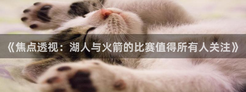 新球体育app