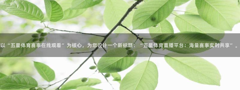 新球体育即时分：以“五星体育赛事在线观看”为核心，为您设计一个新标题：“五星体育直播平台：海量赛事实时共享”。