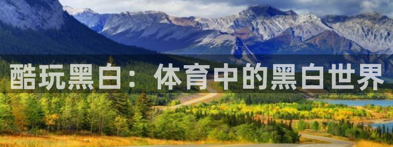 新球体育足球：酷玩黑白：体育中的黑白世界
