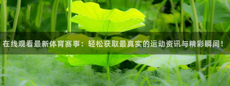 新球直播：在线观看最新体育赛事：轻松获取最真实的运动资讯与精彩瞬间！