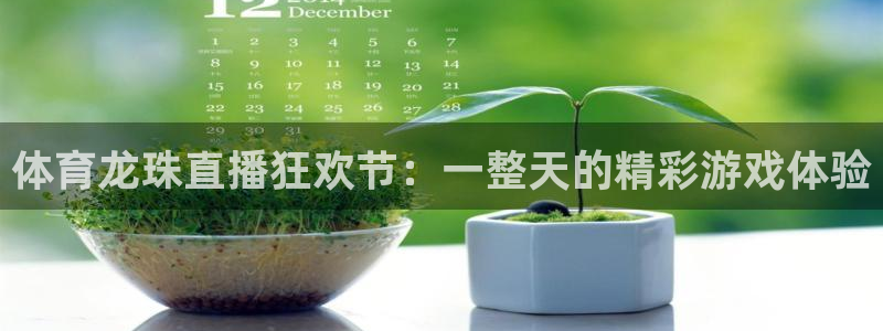 新球体育网球比分：体育龙珠直播狂欢节：一整天的精彩游戏体验